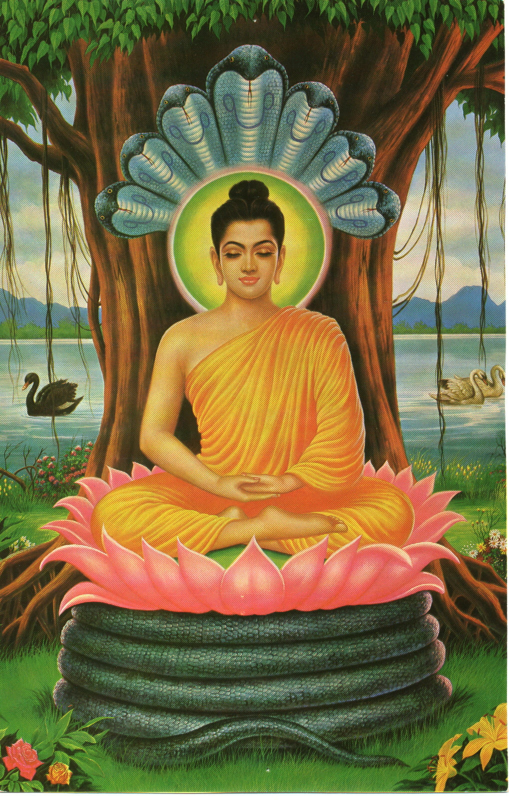 优婆罗陀佛祖图片